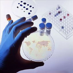 2017年生物制品批簽發(fā)年報(bào) 疫苗質(zhì)量安全可控