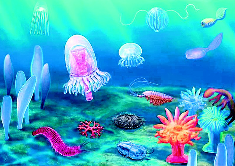 湖北長(zhǎng)陽(yáng)發(fā)現(xiàn)5.18億年前清江生物群 醫(yī)藥領(lǐng)域的技術(shù)開(kāi)發(fā)新寵